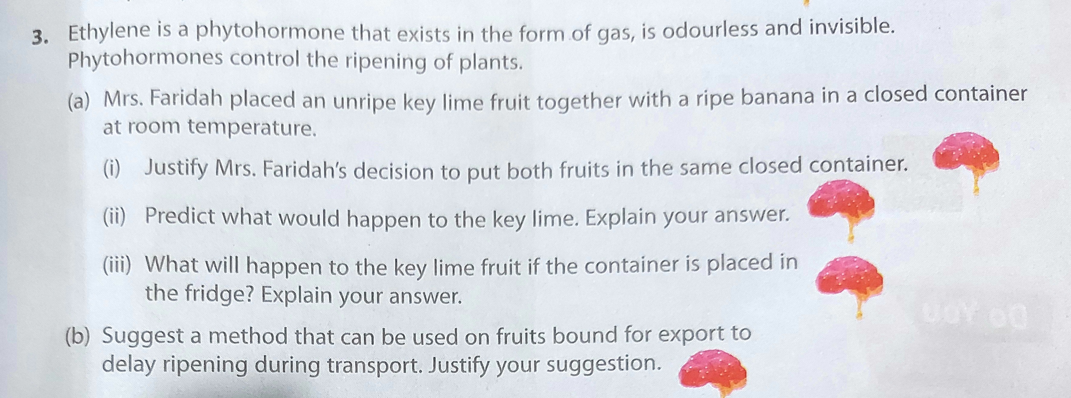 Hormone and sugar levels of tree peony biology essay picture